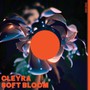 Soft Bloom - Cleyra