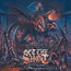 Merciless Destruction - Get The Shot