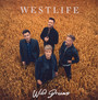 Wild Dreams - Westlife