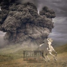 Year Of The Dark Horse - White Buffalo