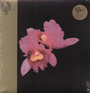 Orchid - Opeth