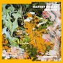 Oberon - Harvey McKay