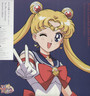 Pretty Guardian Sailor Moon: The 30TH Anniv. - Pretty Guardian Sailor Moon: The 30TH Anniv.