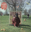 An Introduction To Syd Barrett - Syd Barrett An Introduction To Syd Barrett - Syd Barrett