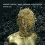 Nothing Else - Vincent  Courtois  / Daniel   Erdmann  / Robin  Fincker 