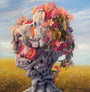 Veil Of Imagination - Wilderun