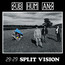 29:29 Split Vision - Subhumans   