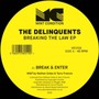 Breaking The Law - Delinquents