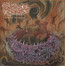 Vortex Of Disgust - Bastard Grave