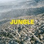 Jungle - Blaze