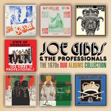 1970S Dub Albums Collection - Joe Gibbs  & The Professionals