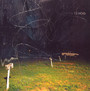 This Stupid World - Yo La Tengo