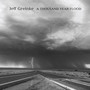 A Thousand Year Flood - Jeff Greinke