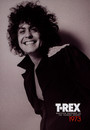 Whatever Happened To The Teenage Dream - T.Rex