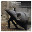 A Rider In The Rain - Tom Waits A Rider In The Rain - Tom Waits