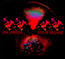 Rites Of Percussion - Dave Lombardo