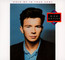 Hold Me In Your Arms - Rick Astley