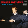 Howard Jones Sings What Is Love - Howard Jones