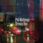 Dream Box - Pat Metheny