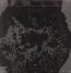 Love's Holiday - Oxbow