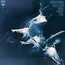 Weather Report - Weather Report Weather Report - Weather Report