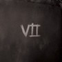 VII - Will Haven