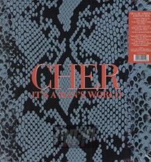 It's A Man's World - Cher