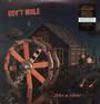 Peace...Like A River - Gov't Mule