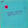 Live In Brooklyn 2011 - Sonic Youth