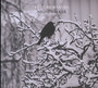 Nightwalker - Ketil Bjornstad