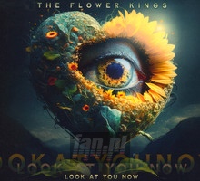Look At You Now - The Flower Kings 