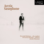 Arctic Saxophone - Ola Asdahl Rokkones 