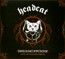 Dreamcatcher - Head Cat