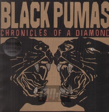 Chronicles Of A Diamond - Black Pumas