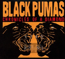 Chronicles Of A Diamond - Black Pumas