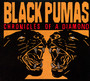 Chronicles Of A Diamond - Black Pumas