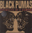 Chronicles Of A Diamond - Black Pumas