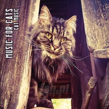 Cat Music - Music For Cats - powiększ Cat Music - Music For Cats