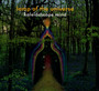 Kaleidoscope Mind - Lamp Of The Universe
