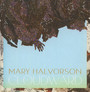 Cloudward - Mary Halverson