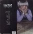 Masterpiece - Big Thief - bigger Masterpiece - Big Thief