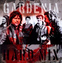Hard Mix - Gardenia   