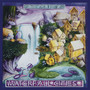 Waterfall Cities - Ozric Tentacles