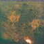 Reminicent Suite - Mal Waldron