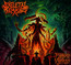 Fragments Of The Ageless - Skeletal Remains