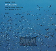 Compassion - Vijay Iyer