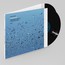 Compassion - Vijay Iyer