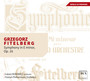 Fitelberg: Symphony In E Minor Op.16 - kuasz Borowicz / Pozna Philharmonic Orchestra