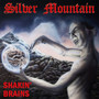 Shakin' Brains - Silver Mountain