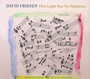 This Light Has No Darkness - David Friesen